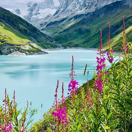 Hautes Roches - Magnifique Vue Sur La Montagne * Crans-Montana